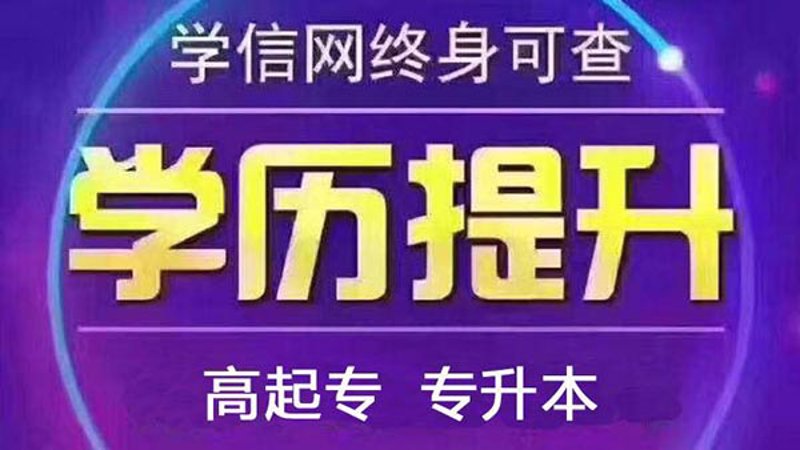 企业内训：引领未来人才发展的新动力